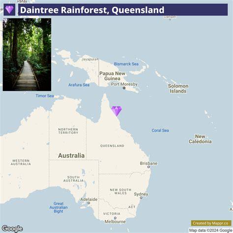 Where Is Located Rainforest In Daintree