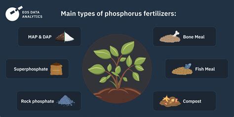 Where Is Phosphorus Used