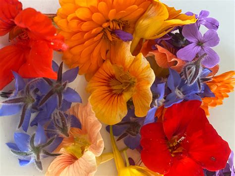 Where To Buy Edible Flowers