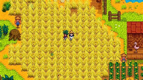 Where To Buy Hay Stardew Valley