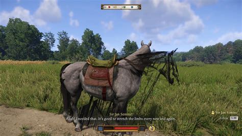 Where To Buy Horse Kcd2