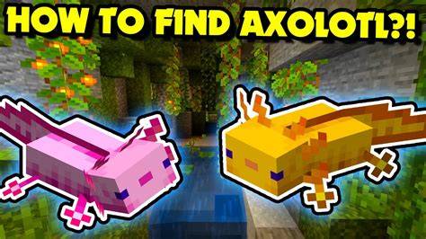 Where To Find Axolotl In Minecraft