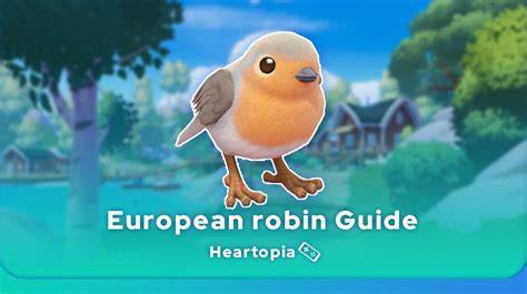 Where To Find European Robin In Heartopia