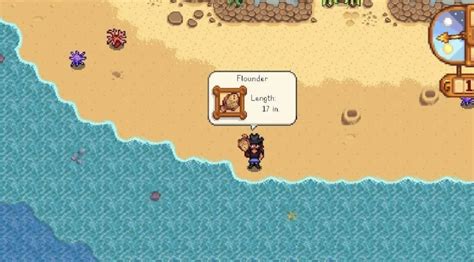 Where To Find Flounder Stardew Valley