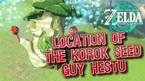 Where To Find Korok Guy Botw