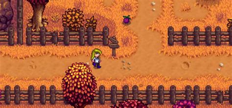 Where To Find Wild Plum Stardew Valley