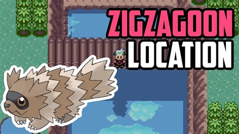 Where To Find Zigzagoon In Emerald