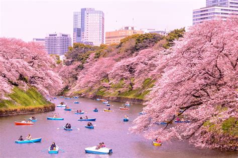 Where To Go In Japan In April