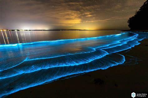 Where To See Bioluminescence