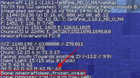 Where To See Biome In F3