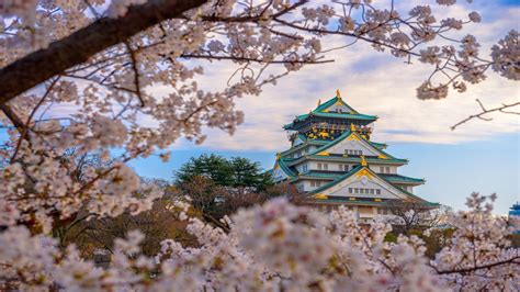 Where To See Sakura In Osaka