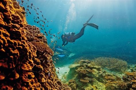 Where To Visit Great Barrier Reef