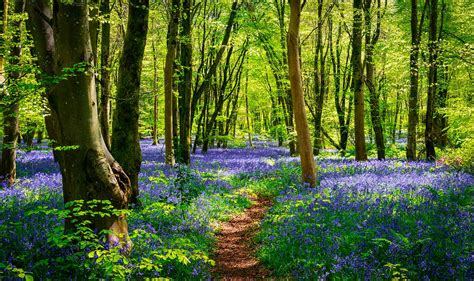 Where To Visit Uk In April