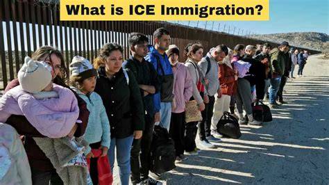 Who Created Ice Immigration