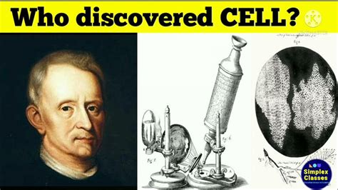 Who Discovered Cell