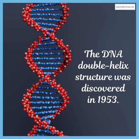 Who Discovered Dna Double Helix