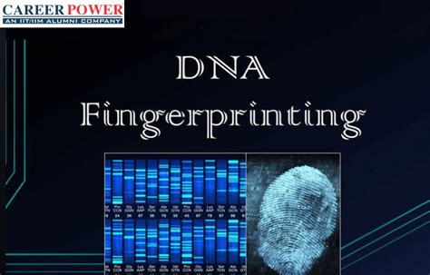 Who Discovered Dna Fingerprinting