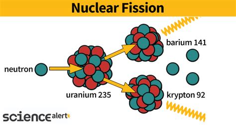 Who Discovered Nuclear Fission