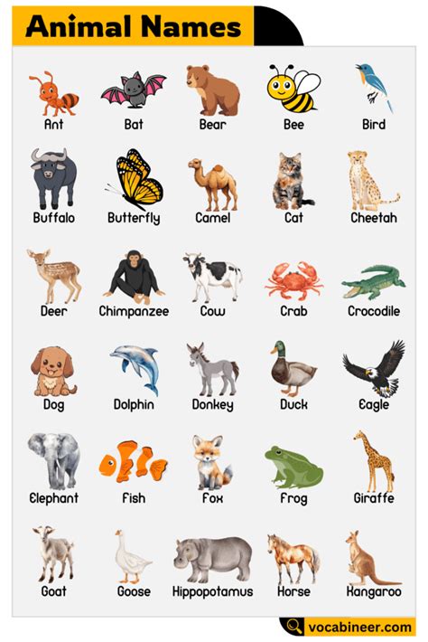 Who Named Animals