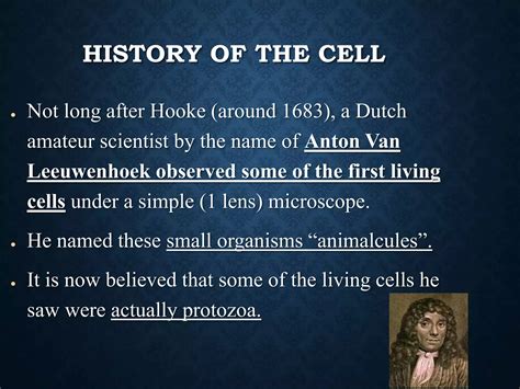 Who Named Cells