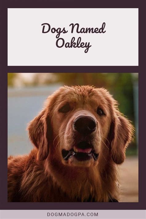 Who Named Dogs