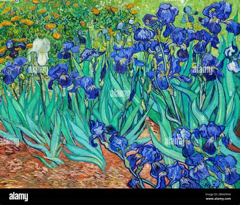 Who Painted Irises