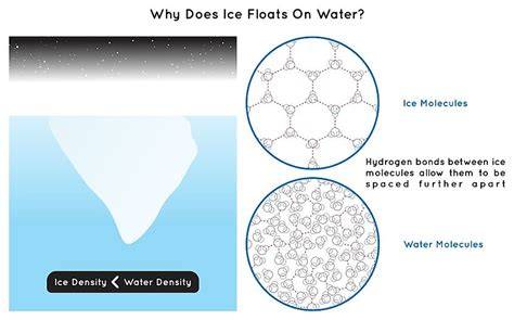 Why Does Ice Float