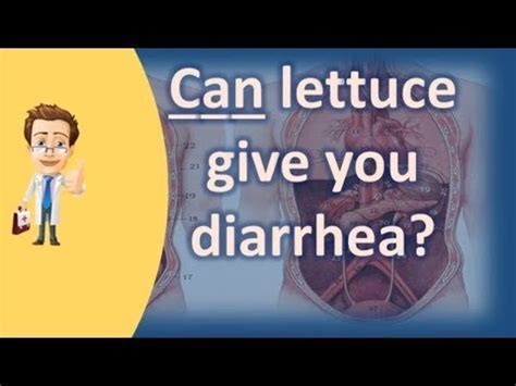 Why Does Lettuce Give Me Diarrhea
