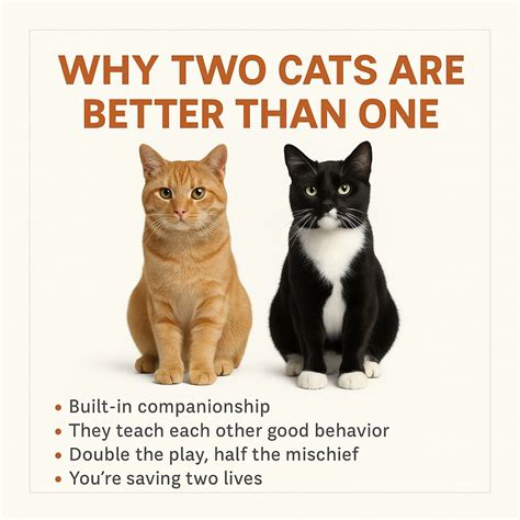 Why Is Better Than One