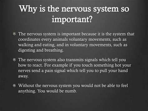 Why Is Important Nervous System
