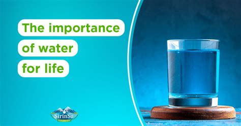 Why Is Important Water For Life