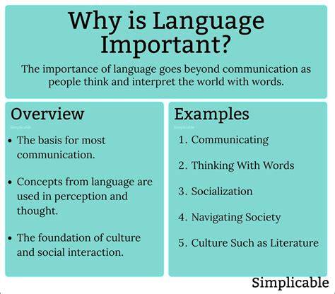 Why Is Language Important