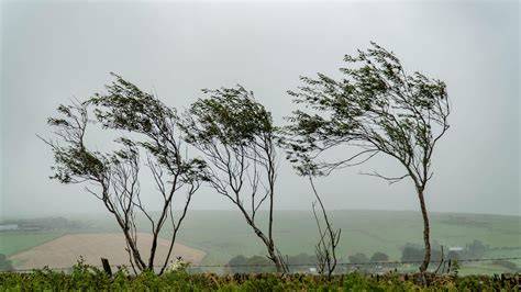 Why Is So Windy In March