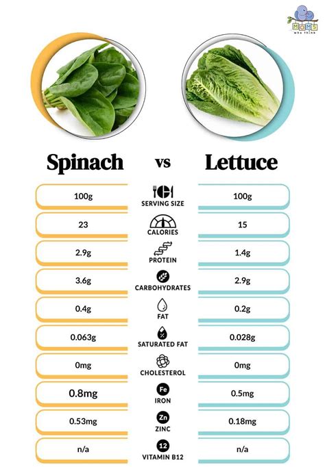 Why Is Spinach Better Than Lettuce