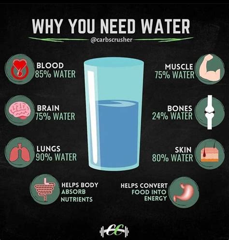 Why Is Water Important To Humans