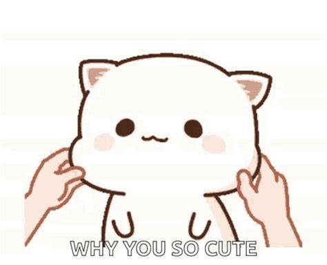 Why You So Cute Meme
