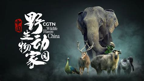 Wildlife In China