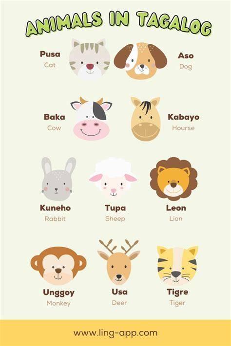 Wildlife In Tagalog