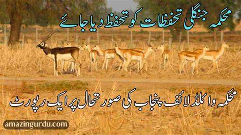 Wildlife In Urdu