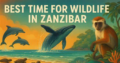 Wildlife In Zanzibar