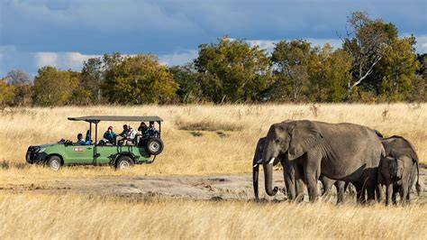 Wildlife In Zimbabwe