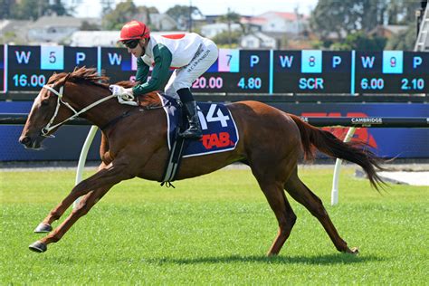 Written By Racehorse