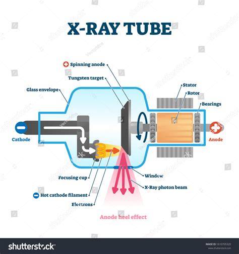 X Ray Tube