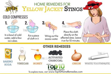 Yellow Jacket Bite Treatment