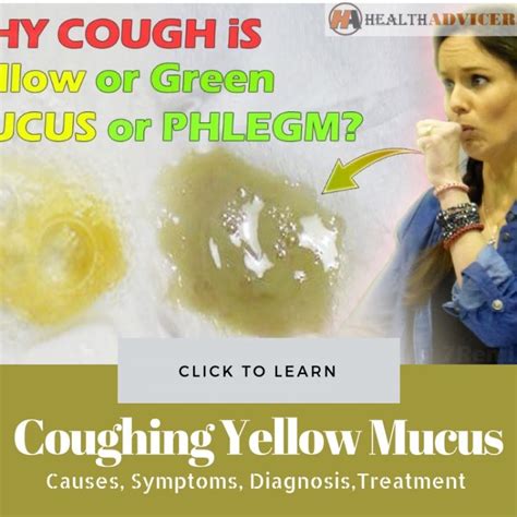 Yellow Phlegm Cough
